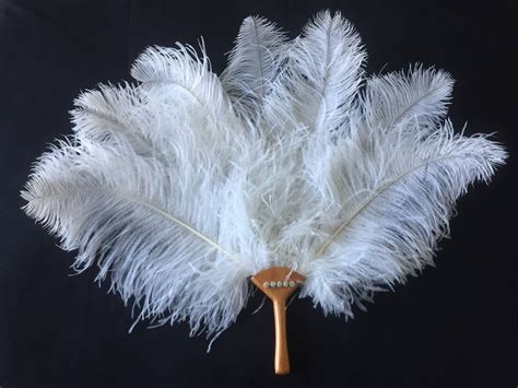 Vintage Ostrich Feather 